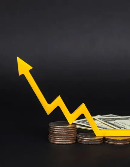 Niche Customer Persona & Unique Value Proposition (UVP) Analysis