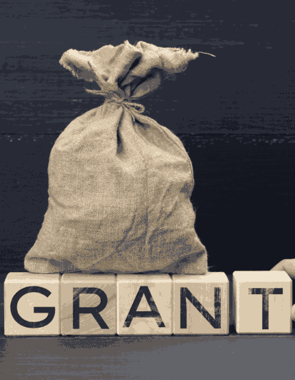 Draft a Grant Proposal Executive Summary