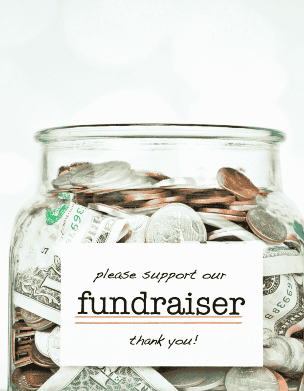 Develop a Fundraising Strategy for a Capital Campaign