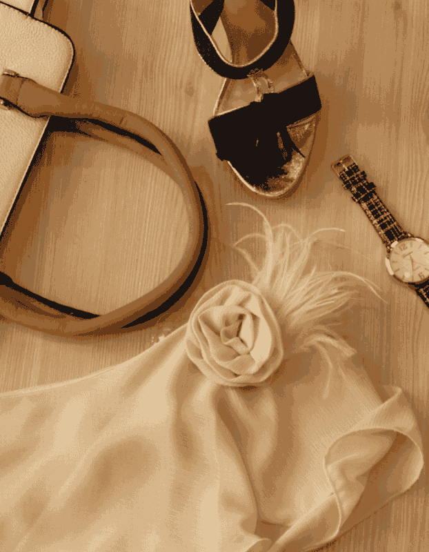 Develop Marketing Plan for Seasonal Fashion Collection Launch