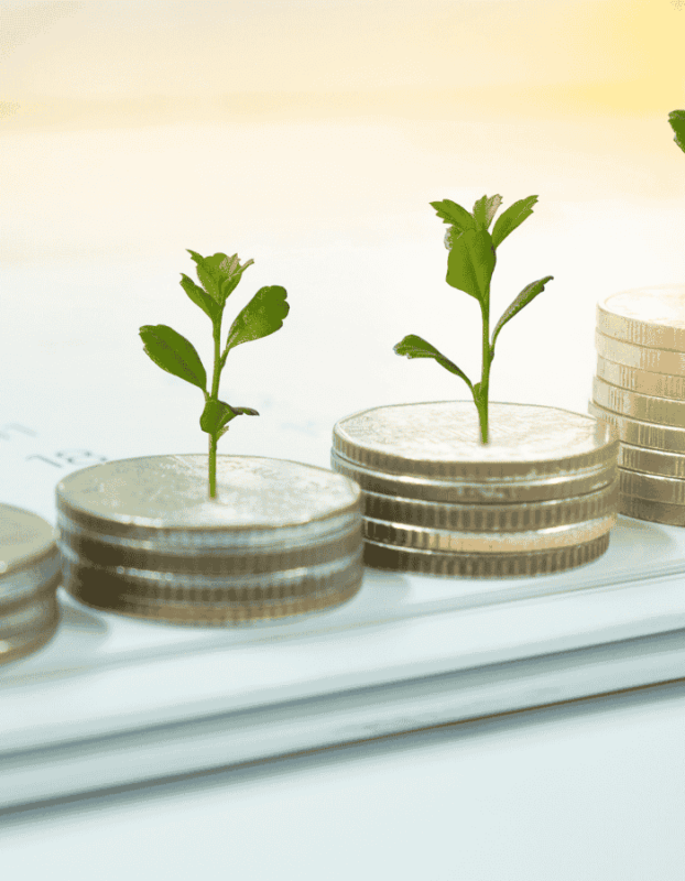 Develop Fund Allocation & Impact Report for Non-Profit Programs