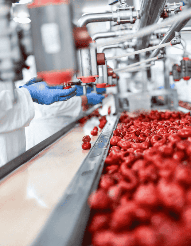 Analyze Production Schedules & Workflow Diagrams for Food Processing