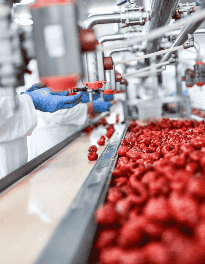 Analyze Production Schedules & Workflow Diagrams for Food Processing