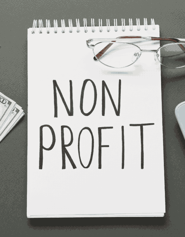 Analyze Program Compliance & Regulatory Documentation for Non-Profits