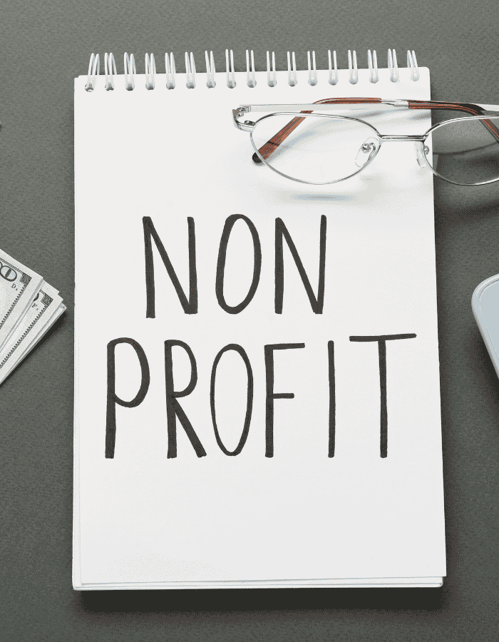 Analyze Program Compliance & Regulatory Documentation for Non-Profits