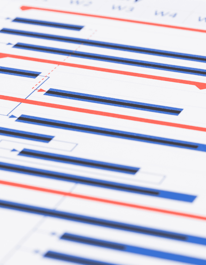 Analyze Project Plans & Gantt Charts for Resource Optimization